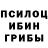 Псилоцибиновые грибы Psilocybe NIKO Lviv